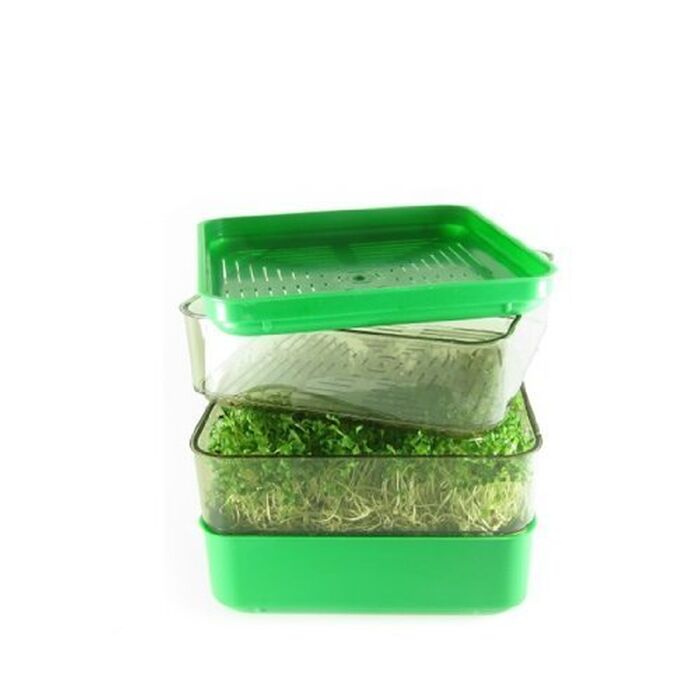 Bergs Bio Salad - Keimgerät - quadratisch, praktisch, wasserdicht
