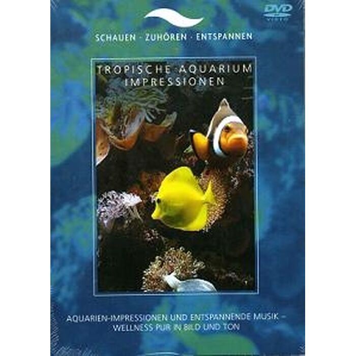 Tropisches Aquarium