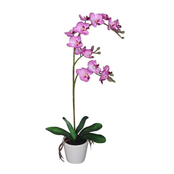 Davartis - Kunstpflanze Phalaenopsis 50cm - Orchideee