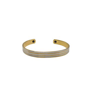 Magnet Armband - 2 Magnete 1400 Gauss