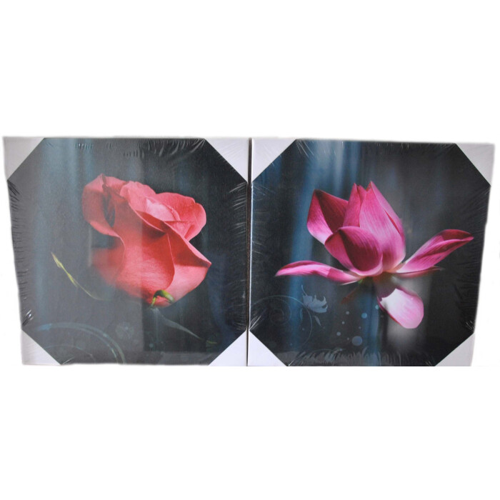 2-Set Bilder - Rose - Wandbild auf Echtholz-Keilrahmen