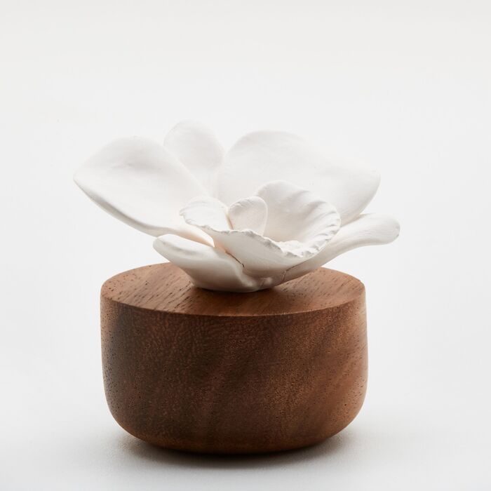 ANOQ - Duftstein Orchide du Npal - Akazienholz, Keramikblume