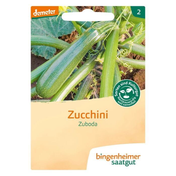 Bingenheimer Saatgut - Bio Zucchini Zuboda - ca. 16 Korn Demeter