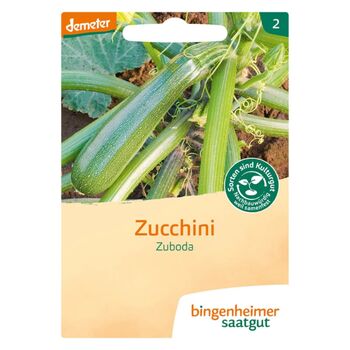 Bingenheimer Saatgut - Bio Zucchini Zuboda - ca. 16 Korn...
