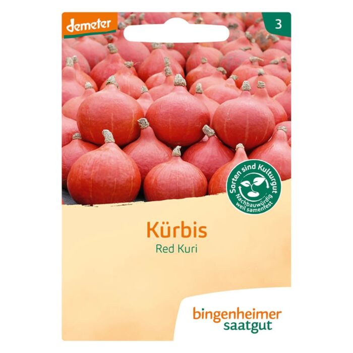 Bingenheimer Saatgut - Bio Hokkaido Krbis Red Kuri - ca.10 Korn Demeter