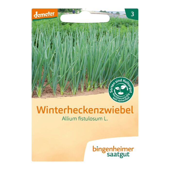 Bingenheimer Saatgut - Bio Winterheckenzwiebel - 2,5g Demeter