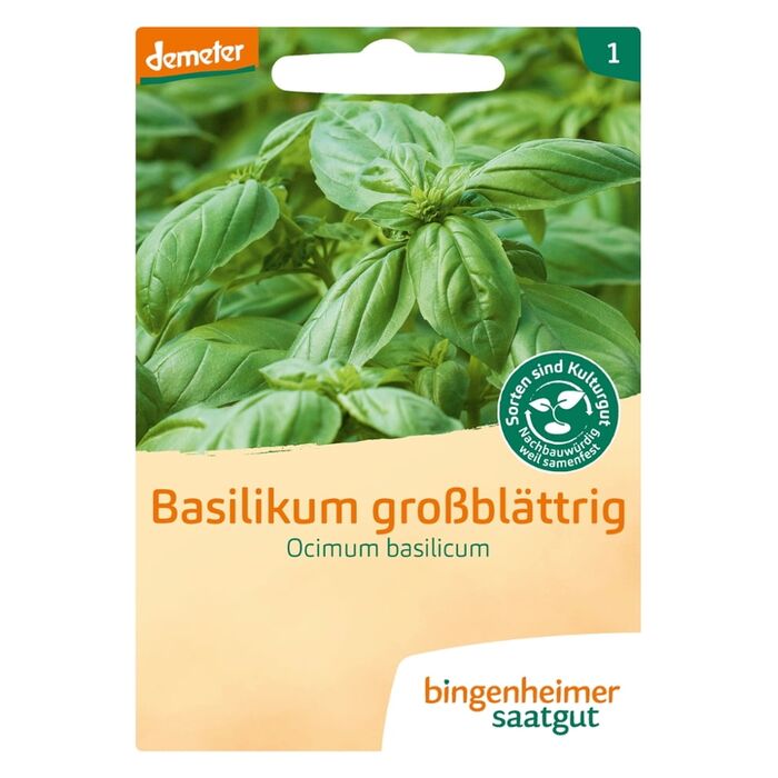 Bingenheimer Saatgut - Bio Basilikum Groblttrig Ocimum basilicum - 1,2g Demeter