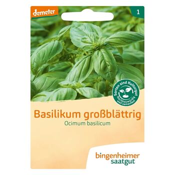 Bingenheimer Saatgut - Bio Basilikum Großblättrig Ocimum...