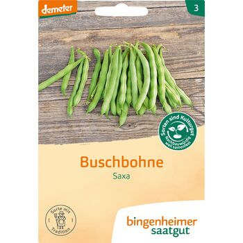 Bingenheimer Saatgut - Bio Buschbohne Saxa - 30g Demeter