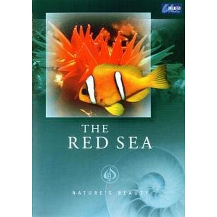 Natures Beauty - The Red Sea