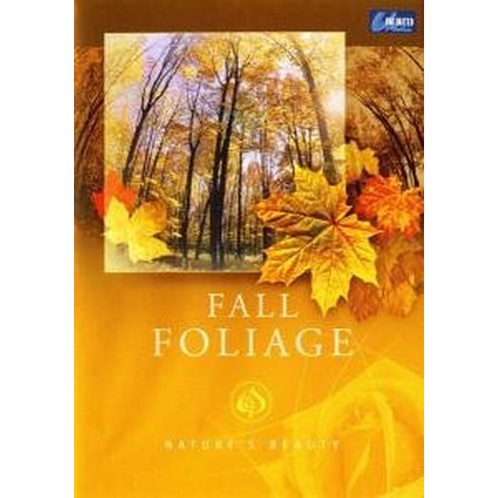 Natures Beauty - Fall Foliage